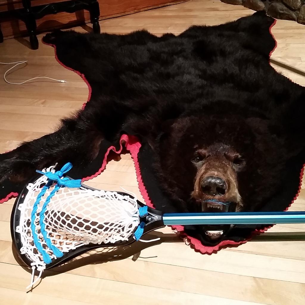 This is what happens when you take my <a href="/MaverikLacrosse/">Maverik Lacrosse</a> Tank! Silly bear! He'll never play @ the Classic! #lacrosse