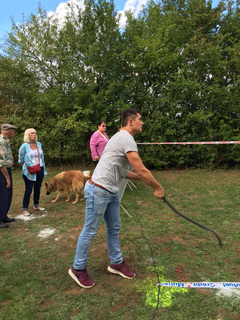 SandrineLeclere's tweet photo. #insolite concours international de lancer de bouillette sur gazon #exoudun #deuxsevres @F3PoitouChtes http://t.co/0e66qAP55y
