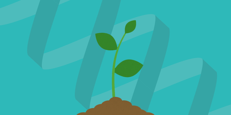 Nature's tweet photo. Rejection of GM crops is not a failure for science http://t.co/KAFg2xE6wN http://t.co/ohKJLeCynM