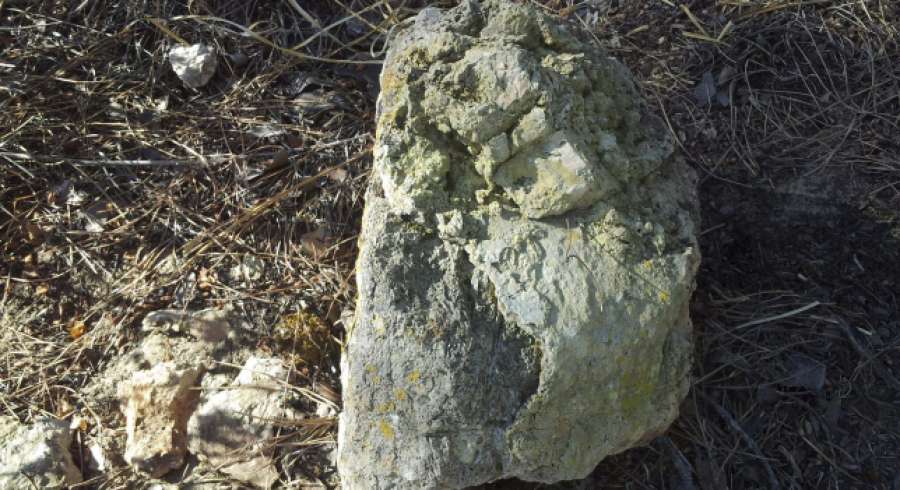 A3Noticias's tweet photo. Descubierta una ciudad de más de 2000 años de antigüedad junto al Guadalquivir http://t.co/XW7oSvwnTz http://t.co/R7J69Rx3Ho