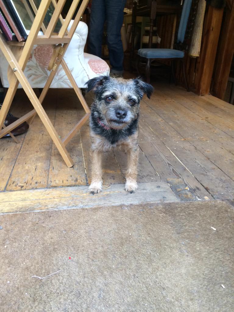 Hanging out <a href="/Tippiuk/">Tippi</a>... Fabulous antiques in Bruntsfield!