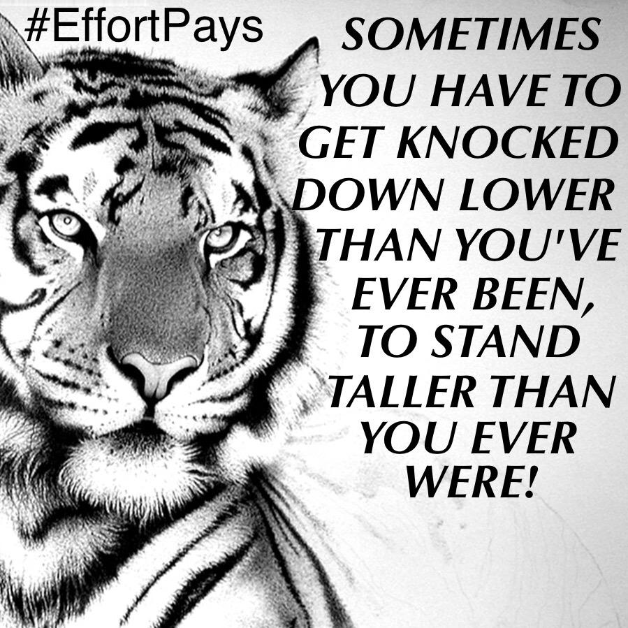 EffortWillPay's tweet photo. Stand tall http://t.co/nBwLxyVkHU