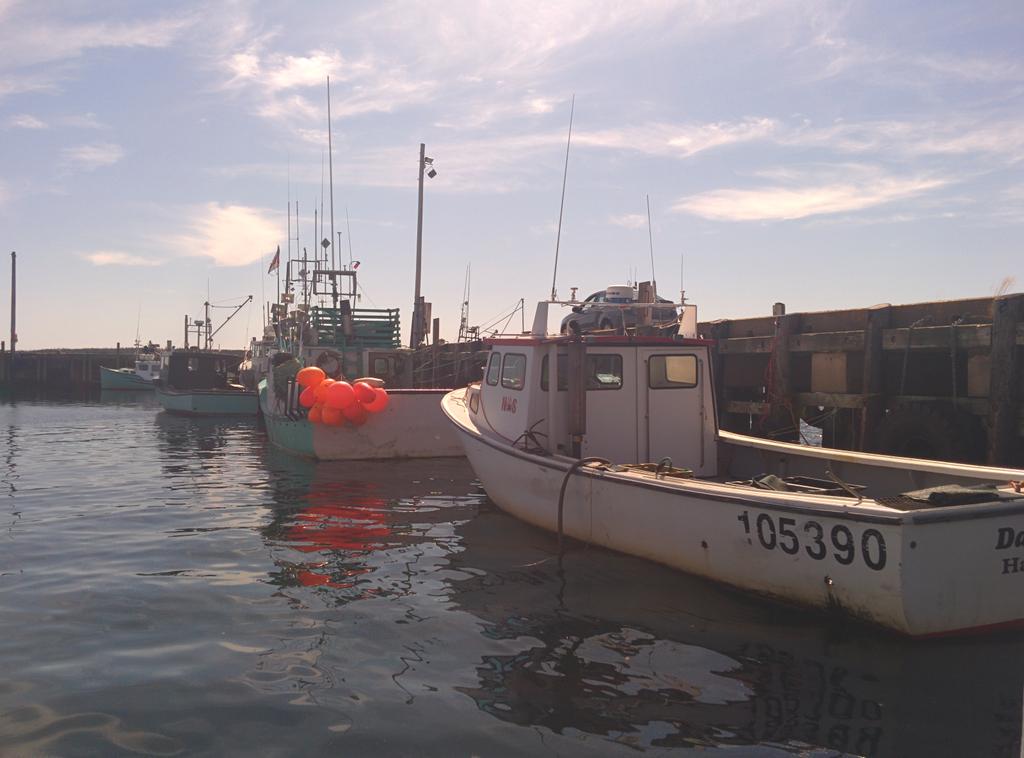 Boats at rest in Sambro Harbour,
