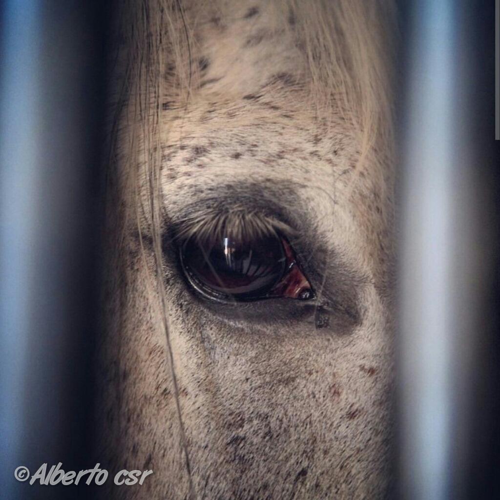 CristalDelMundo's tweet photo. Una mirada dice más que mil palabras. http://t.co/0HtyNP0TWL