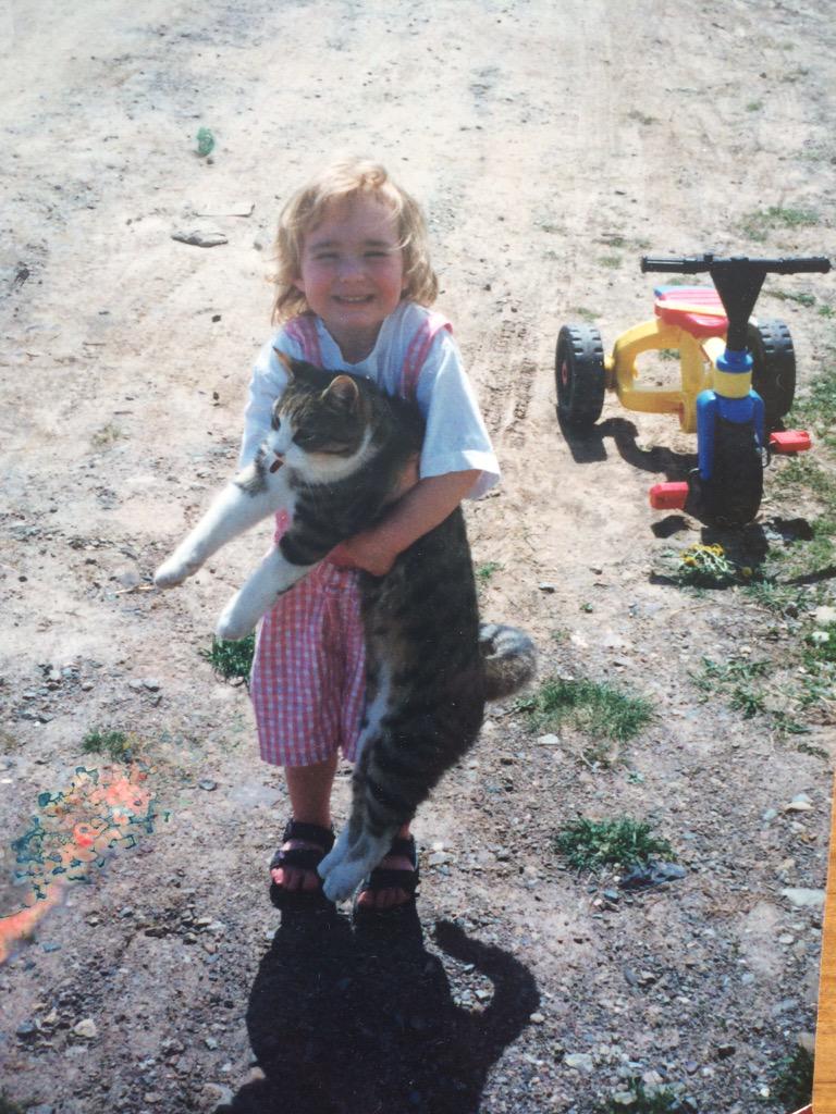 anniembee's tweet photo. Happy #Caturday ! http://t.co/QQcKPiu8Io