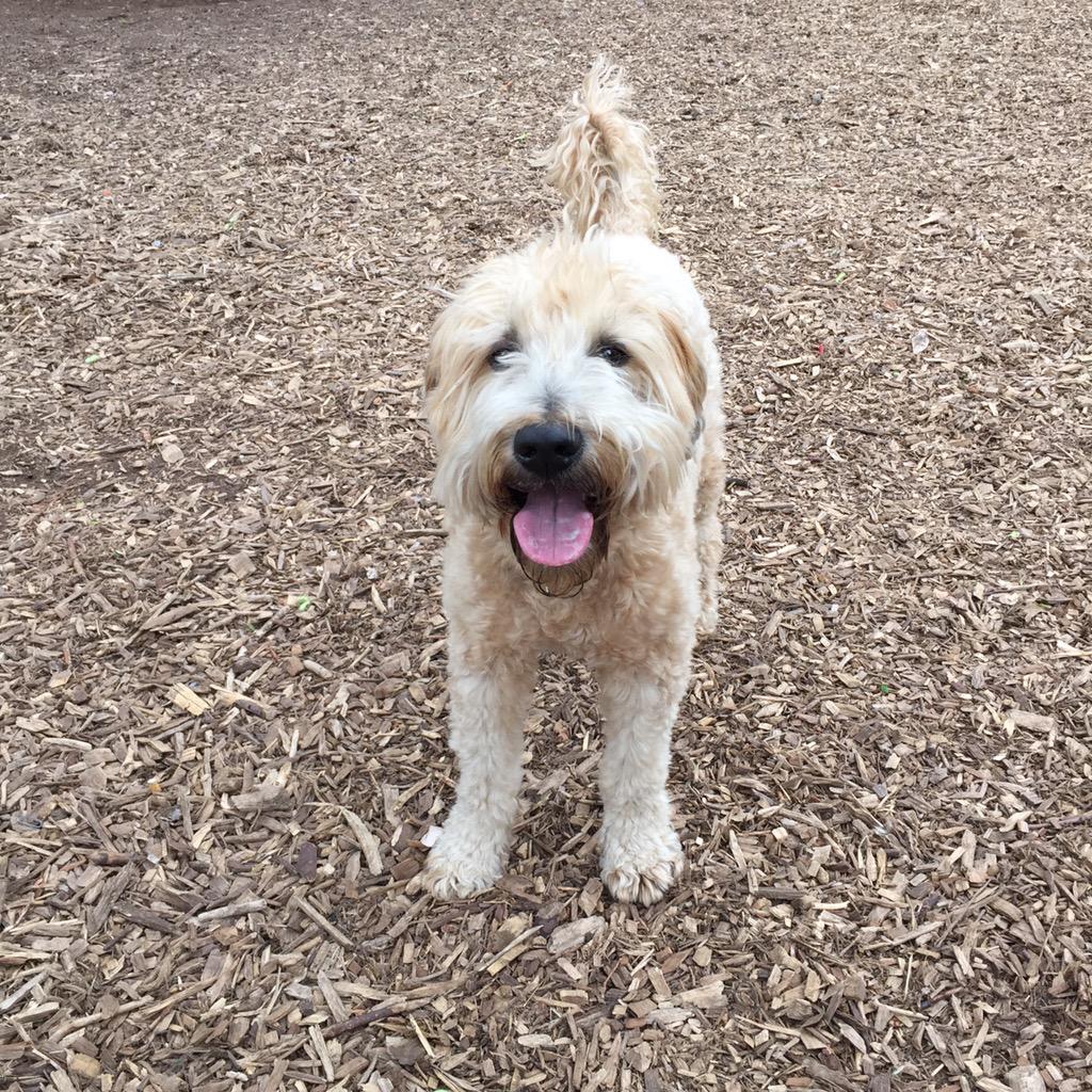 FletchMasterP's tweet image. It's hard work being this handsome &amp;amp; still so down to earth.