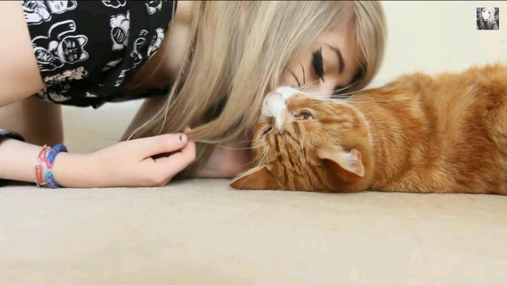 marinadrowned's tweet photo. @jeffdakiller__  love ur cat 😹 http://t.co/IZXSZJk3Ji