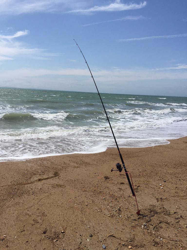 Selsey Beach #selsey #seafishing #smoothhounds #bass #gurnard