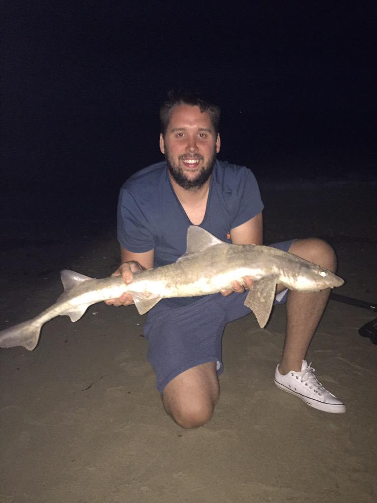 Smoothhound #selsey #seafishing