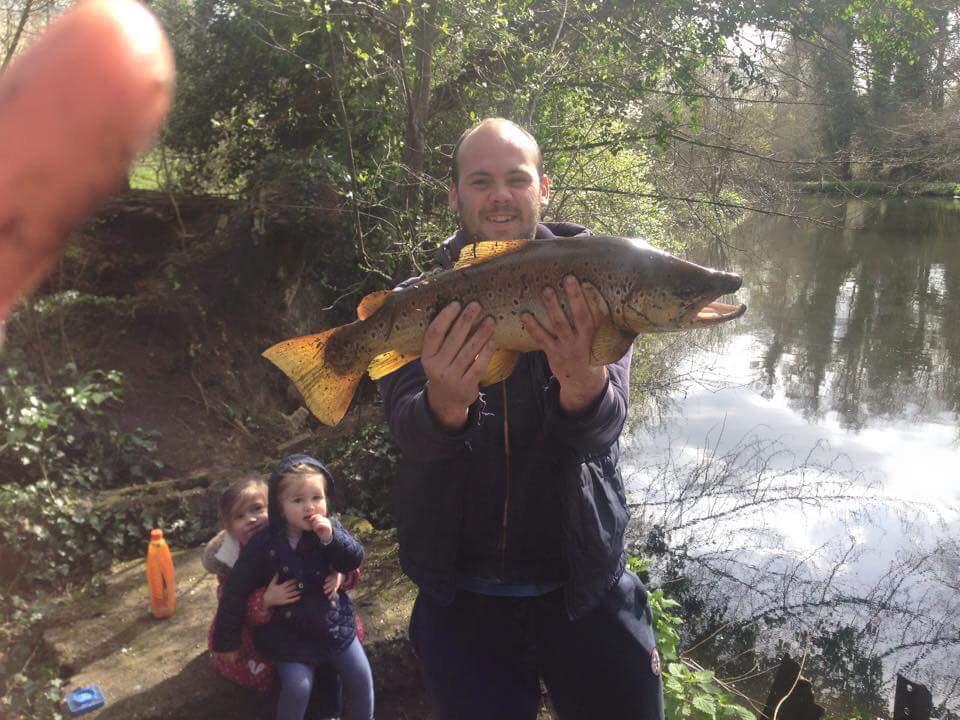Big Trout #riverwandle #trout