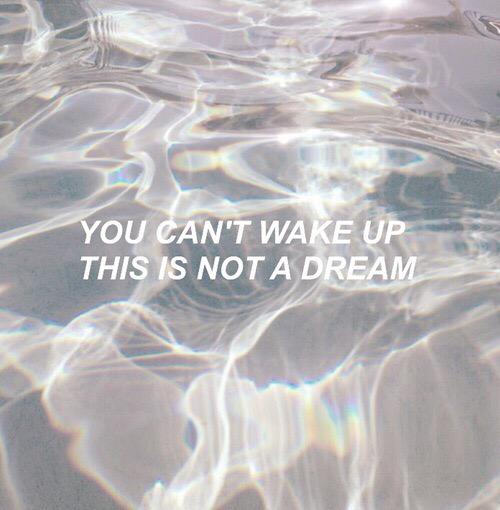 illicithowell's tweet image. 