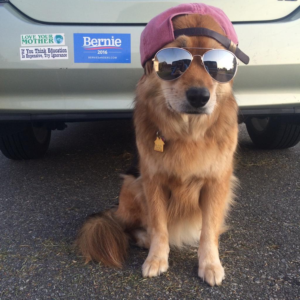 Rad