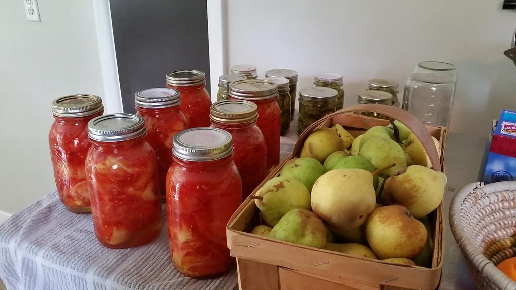 gloryimages's tweet photo. Pears are next. God's provision. #fallcanning #thankful http://t.co/lko089k4Di