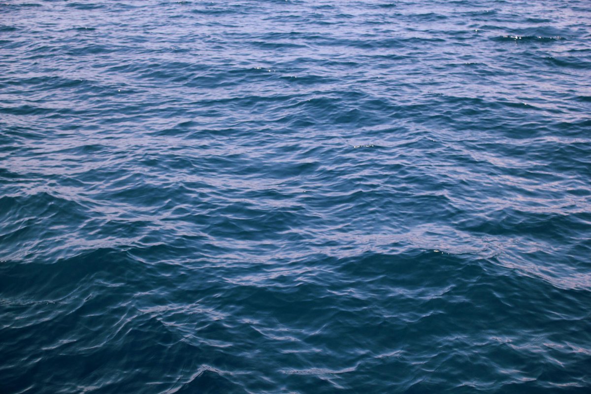 yellingmime's tweet photo. “I want to be like water. I want to slip through fingers, but hold up a ship.” #MichelleWilliams http://t.co/epwYZH5Bou