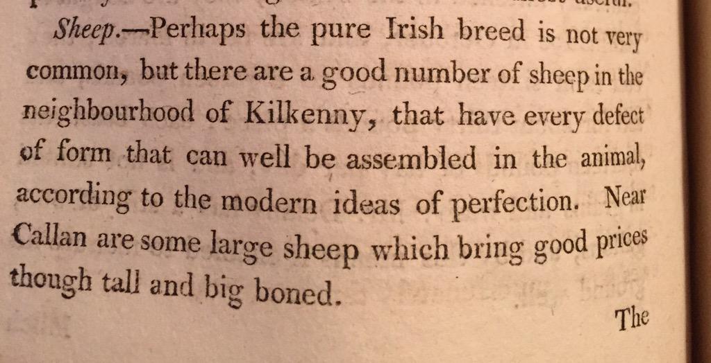 ZwartblesIE's tweet image. 1801 history about the sheep of Kilkenny &amp;amp; how they were milked for cheese after weaning their lambs @Knockdrinna