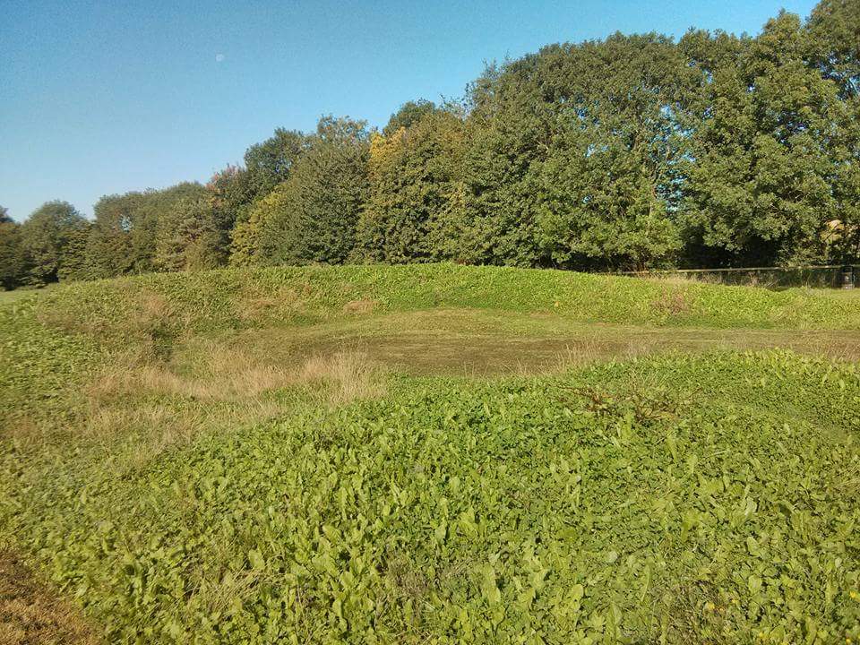 AnalogueAndy's tweet image. @timothyball Can @BristolTrails + I meet you in Pennyquick Park to talk about #PumpTracks ? @Architrail @BathnesParks