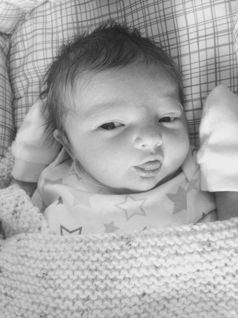 StockingBox's tweet image. The reason for September's shut down...meet Fenchurch Lamorna! 😊