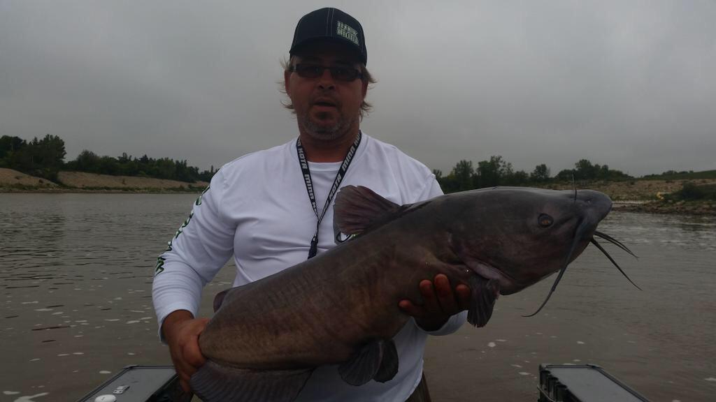 Fishinmilitia's tweet photo. Only in #lockport #Manitoba can you become a #Catfish species specialist with 8 #MasterAnglers in 7 hours #FishThug http://t.co/ApE7lTeZ1e