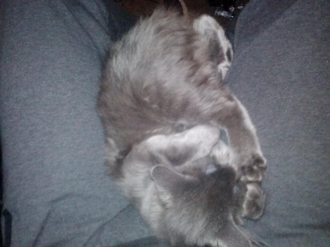Mommy's girl. http://t.co/CSzCtXbjqX