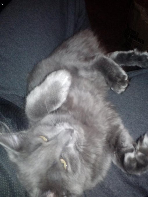 Mommy's girl. http://t.co/CSzCtXbjqX