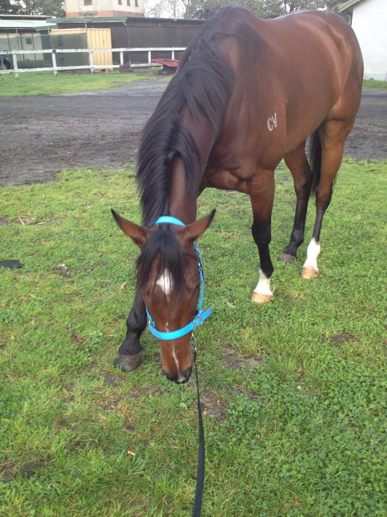 StritchLaura's tweet image. #proudmother #ransuper