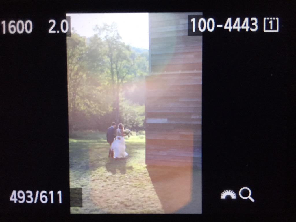 ButtonWoodPhoto's tweet image. Loving the light at this place upstate #lensflare #wedding #bride #barn