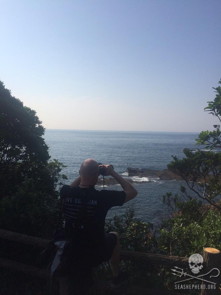SeaShepherd404's tweet photo. BLUE COVE DAY 6!!  Message from the Cove Guardians &amp; Dolphins.Sending a heartfelt THANK YOU to all of our supporters! http://t.co/y6K1mgOJyd