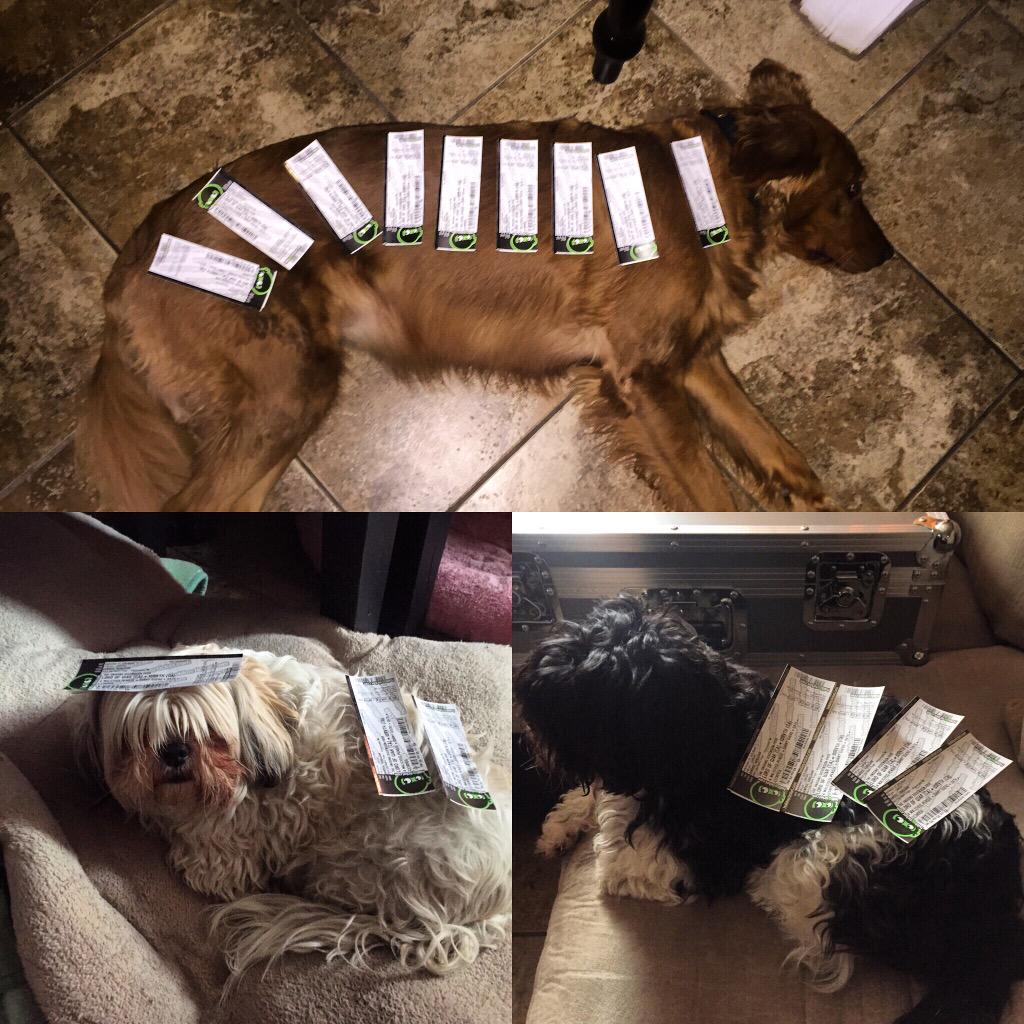 OVTHBAND's tweet image. Lord Of War, WRVTH, OVTH, A Malicious Plague, Sorry Guero, and Cytheria. September 23rd, Duke City Sound. Reply 4 tix