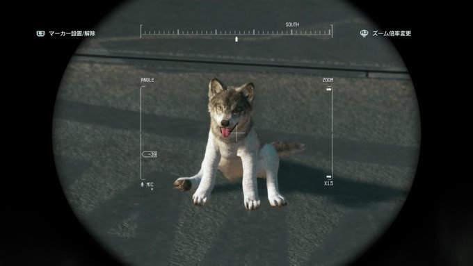 D Dog メタルギアソリッド５ ファントムペイン Mgs5 Tpp 攻略wiki