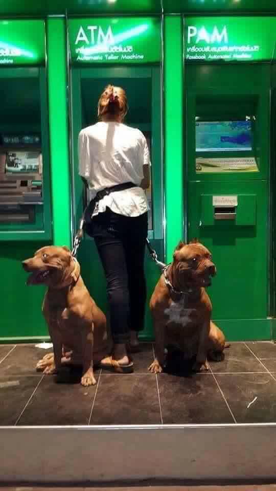 OfficialKito's tweet photo. Ain't nobody robbing her lol http://t.co/xeYu6arDVH