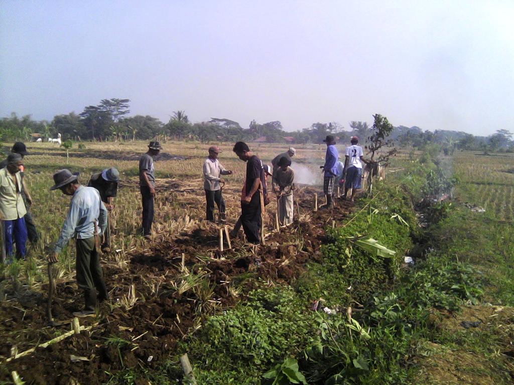 asepiding11's tweet photo. Program bakti membuka jalan lingkungan desa pasawahan anyar http://t.co/OnPmnH8y03