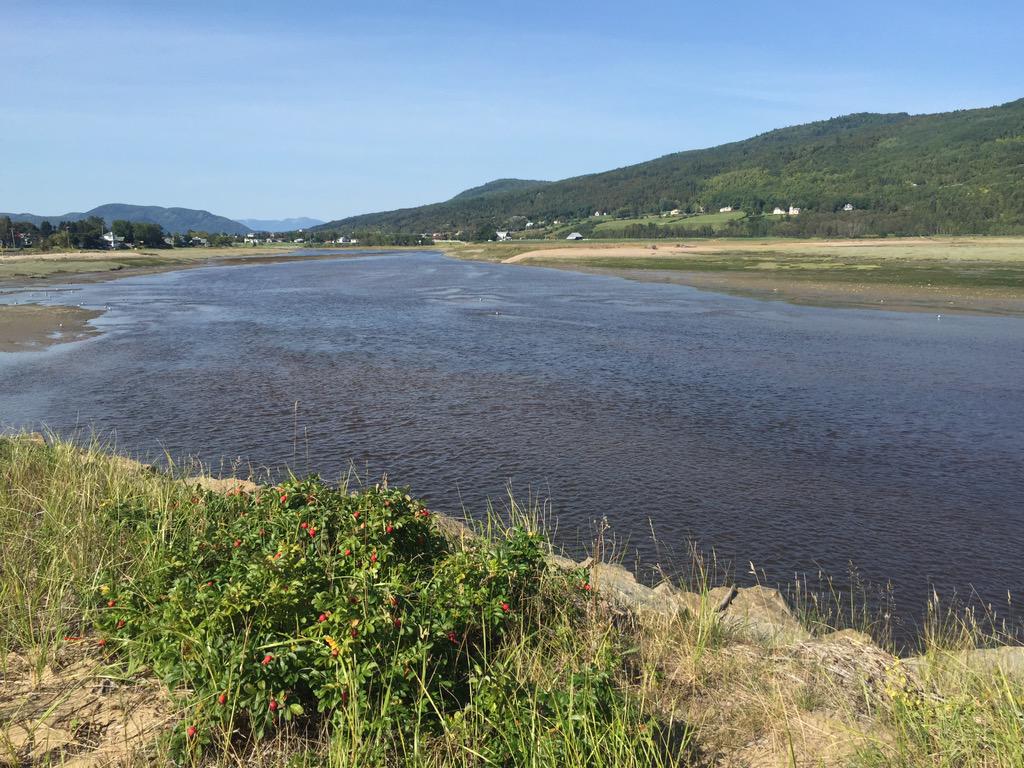 J-P M (@jeanphilippem) on Twitter photo 