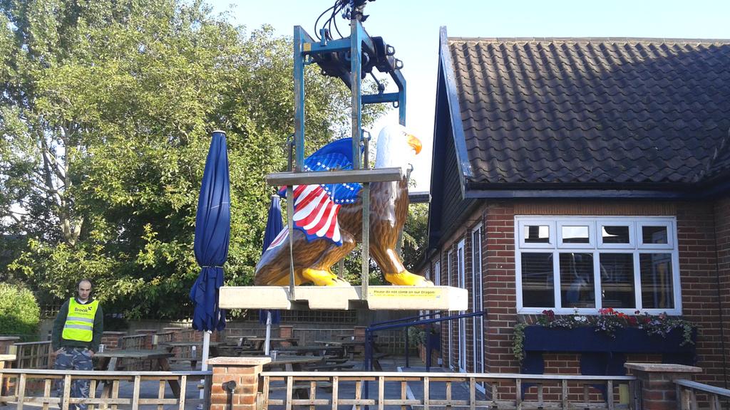 StoreyJoanna's tweet photo. @GoGo_Dragle flying away from @FatsosNorwich &amp; wondering where his new home will be after auction on 1Oct #GGD15 http://t.co/RsH6RFAzVl