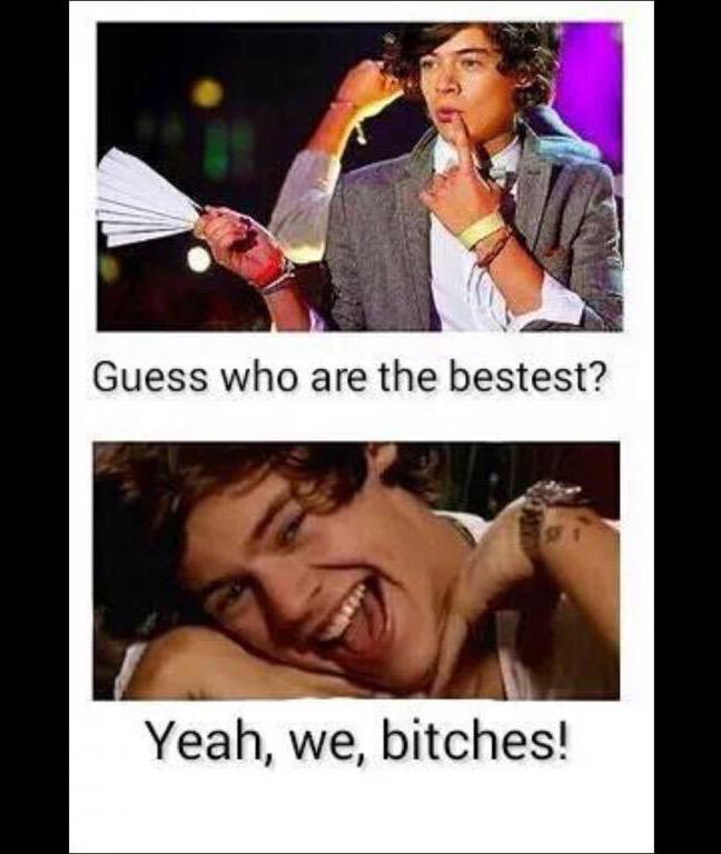 Atekin_'s tweet photo. @Renuka_Tanwar @WatsPallavi directioners Rule!!! #Directioners #prouddirectioners http://t.co/fmGXSq12Hv