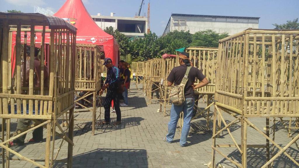 Persiapan babak final kontes ayam pelung 2015...