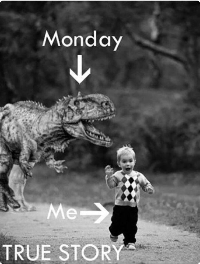 Mediazines's tweet photo. #FelizDomingo y no dejéis de correr que el lunes se acerca 😂😂😂😂🚀 http://t.co/LJRwv7260j