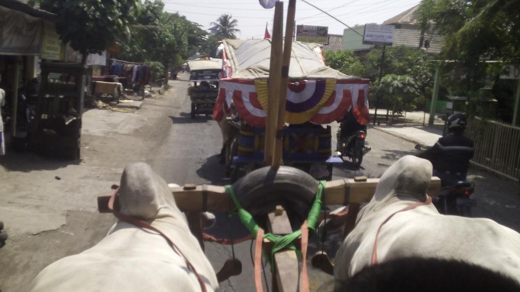 FGS_2019's tweet photo. Yang Karnaval sudah sampai jl. imogiri barat #FGS2015 http://t.co/ZL0D7q4E9X