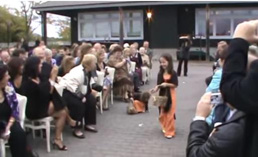 Jennifer_TPar's tweet image. Flower Girl Quits At The Worst Possible Moment, And It s Adorably Funny. ow.ly/RQ2dB