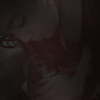 Joy_PhotoCam's tweet photo. jalea mi amor ❤❤❤❤❤❤❤
#pug 
#PugBebe
#MeEncantas
#MiAmor http://t.co/5y4tJh5EQR http://t.co/yv4rEwQIwa