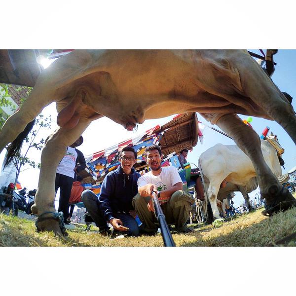 jalanbhakti's tweet photo. Ini onderdil SOGE (Sapi Gede) ~ pict @dhiemzadi #FGS2015 http://t.co/iO8kWUtYRz