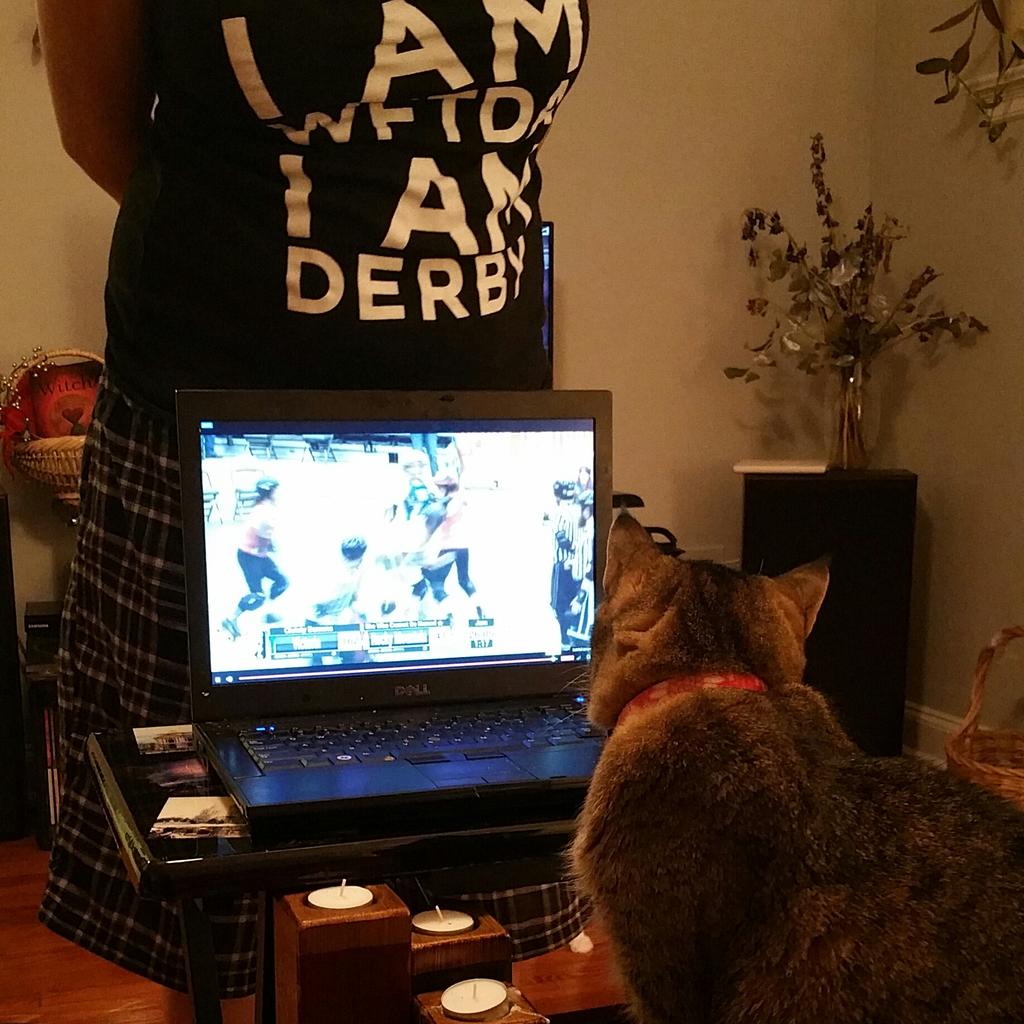 LipstickLezgo's tweet photo. Addie Cat watching @VictorianDerby dominate the track! #wftdaplayoffs @wftda #petsofwftda #talk2wftda @joanierollmoan http://t.co/NficacGMPh