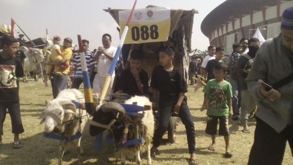 jalanbhakti's tweet photo. Ada Gerobak Kambing dari Kalasan. #FGS2015 ~ pict @FGS_2015 http://t.co/lDRyfWJdrJ