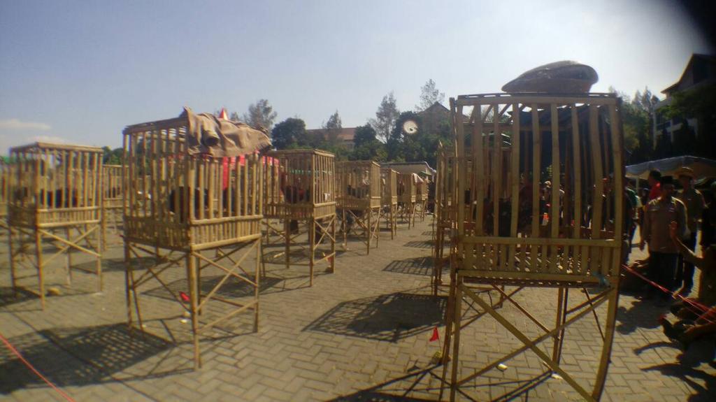 Sedang berlangsung penilaian babak final kontes ayam pelung 2015...