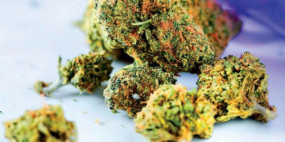 PotValet's tweet photo. Marijuana can cause euphoria, increased heart rate, impaired or reduced short- term memory and distorted perception. http://t.co/egRTlBLY0k