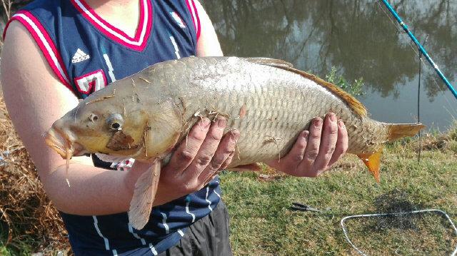 jackieroets04's tweet photo. A wonderful day at the river http://t.co/QzLrF0HBgU