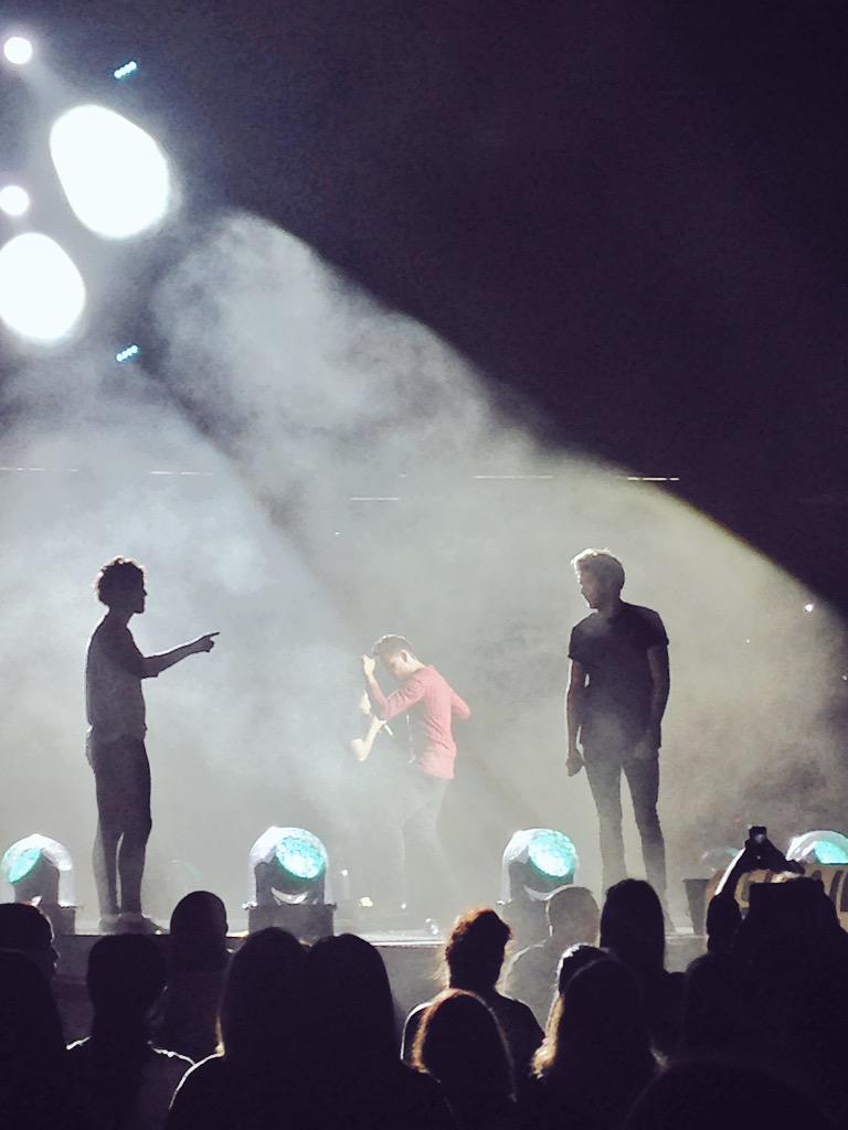 rorolove1D's tweet photo. @Real_Liam_Payne @NiallOfficial  @Harry_Styles  @Louis_Tomlinson  such a perfect show💕💕💕💕 http://t.co/LoZHxHVigG