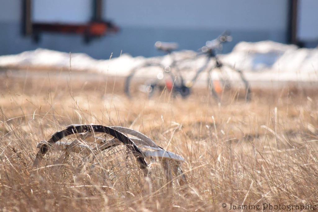 jasol333's tweet photo. Faire du vélo au grand air salin. Entendre et voir la mer. Décrocher. #vélodesjardins @MvtDesjardins #LesIles http://t.co/fg1VCToH9n