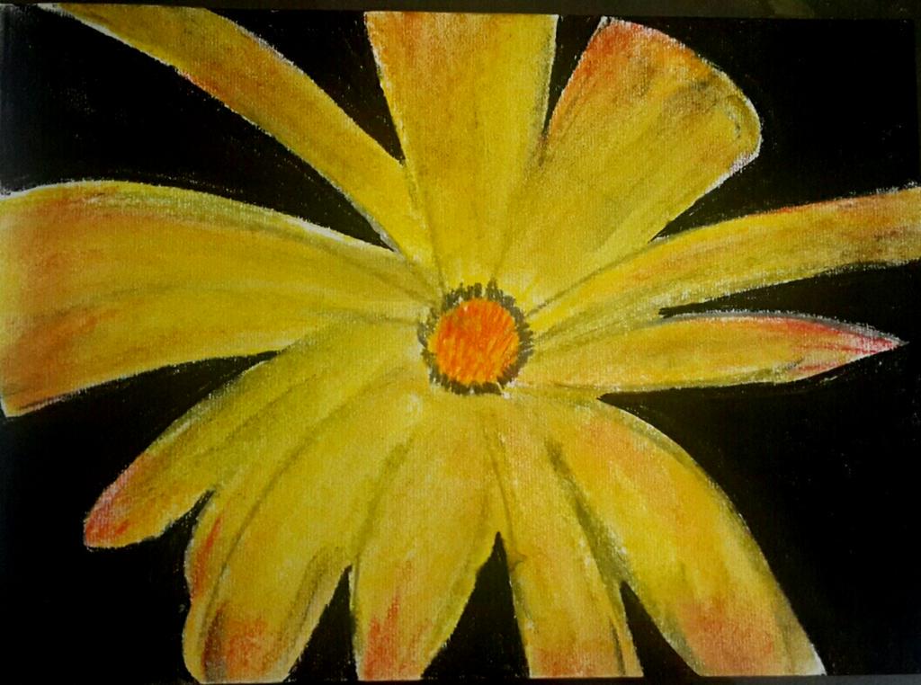 Bright yellow.. for a bright Sunday morning..