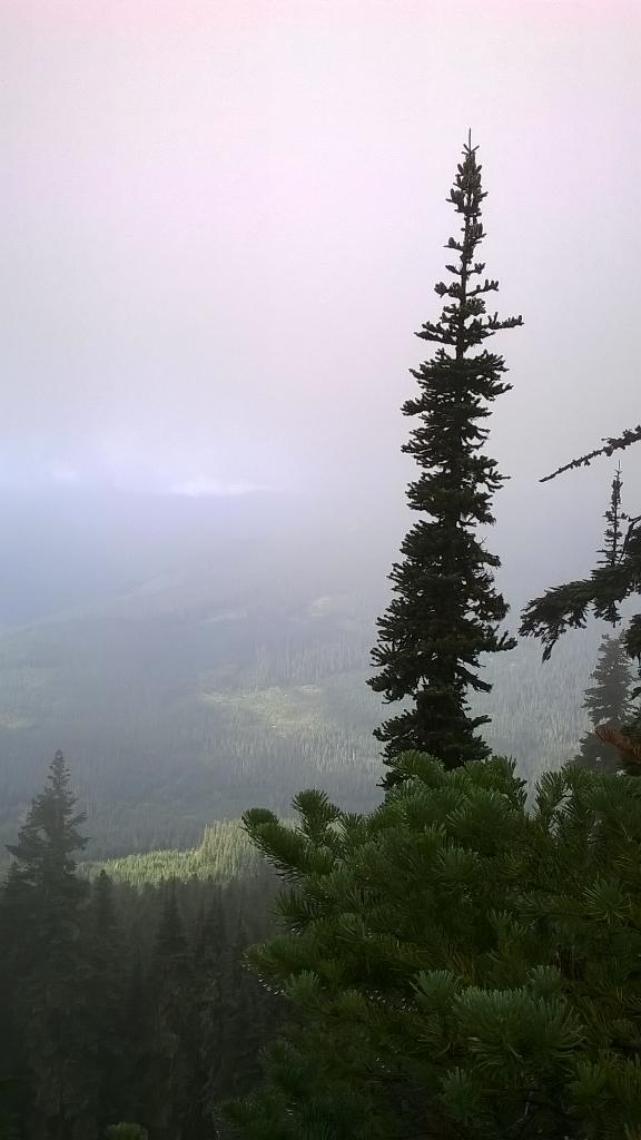 noelhenry1023's tweet photo. and the weather guy said it would be a clear, sunny day... #foggy #hike #PoeMt http://t.co/KxHaO4JCh1