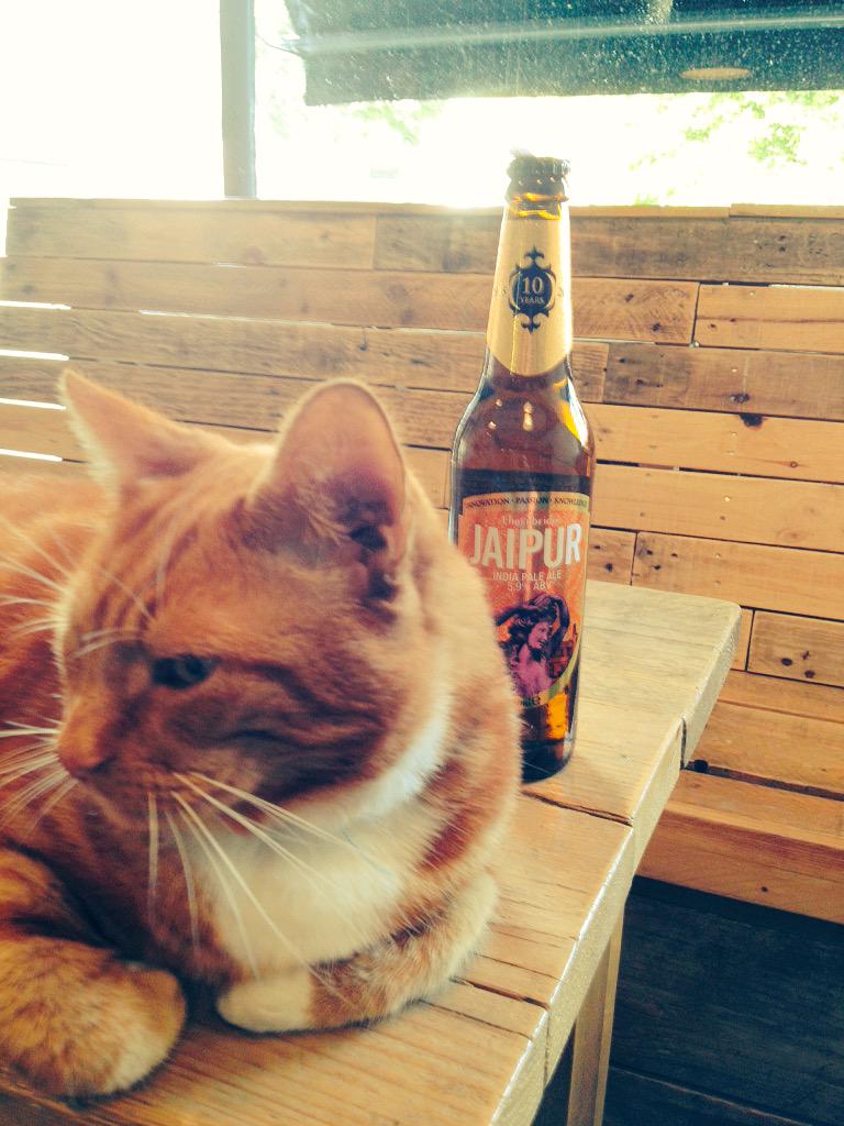 HeatonHops's tweet photo. First customer of the day and wanting a Jaipur #HopsCat http://t.co/XmXn1sUp9H